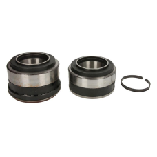 Комплект підшипників ступиці ДАФ ХФ 95/ 105/ 106 DAF CF XF, 1801595, 1391615, 69.8x120x110